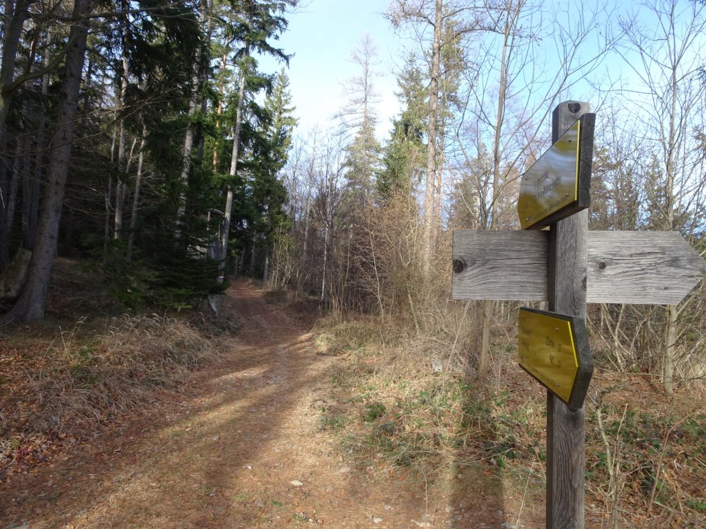 Follow the trail towards "Johann-Waller-Hütte"