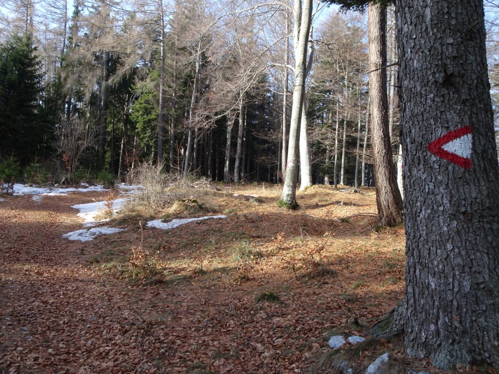 Turn left here and follow the red-white-red marked trail!