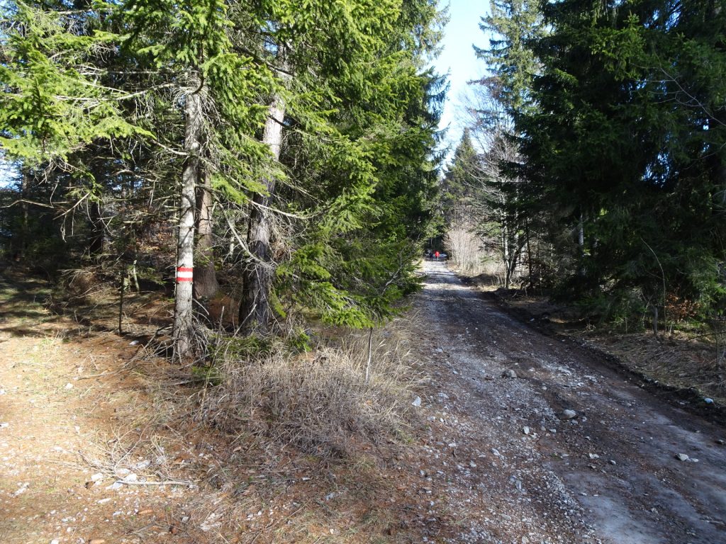 Turn left and follow the red-white-red marked trail towards the "Göstinger Forsthaus"