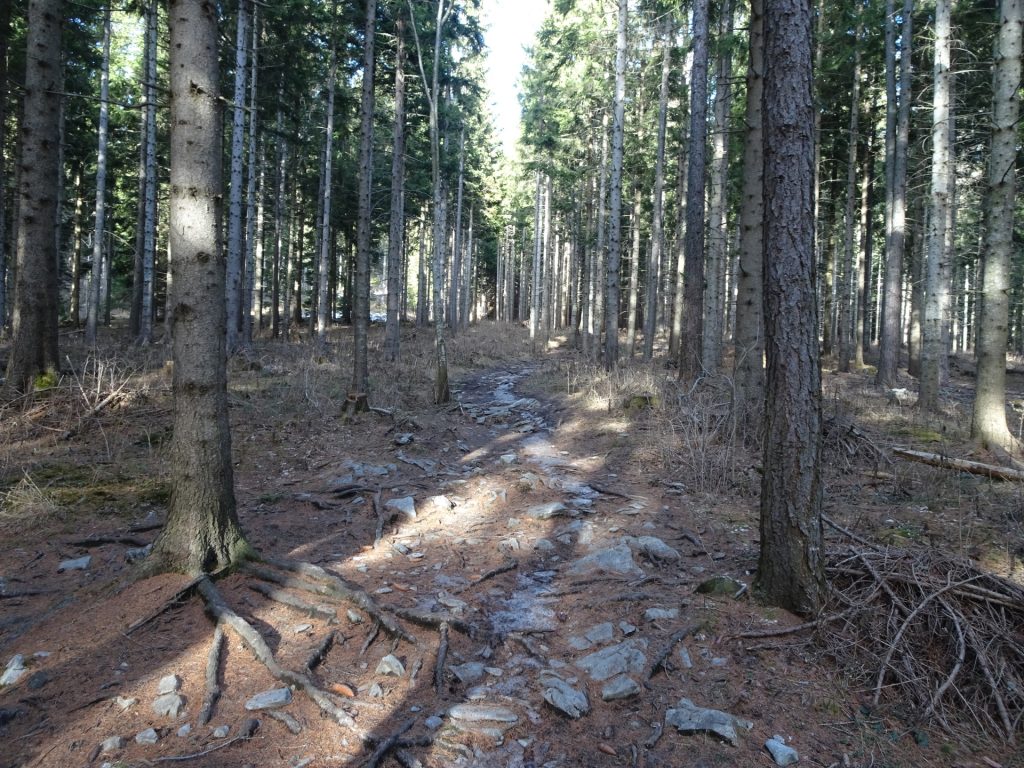 Trail up to "Schöckl" behind the "Waller-Hütte"