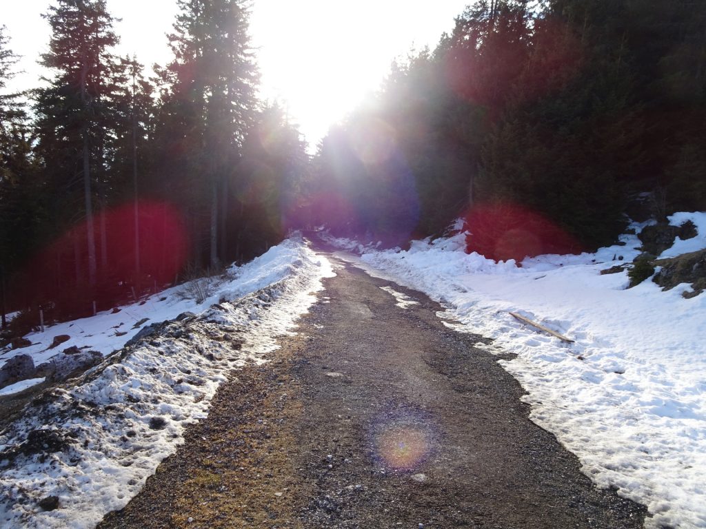 Road from "Schöcklkopf"