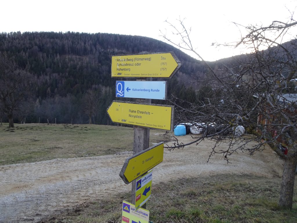 Follow the trail towards "Ruine Ehrenfels"