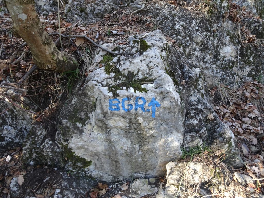 Start of the <i>Bienengartenries</i> climbing route