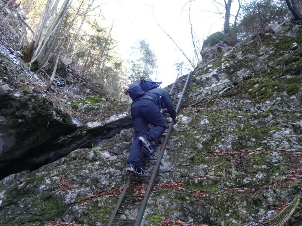Robert climbs down one of the many iron ladders in <i>Große Klause</i>