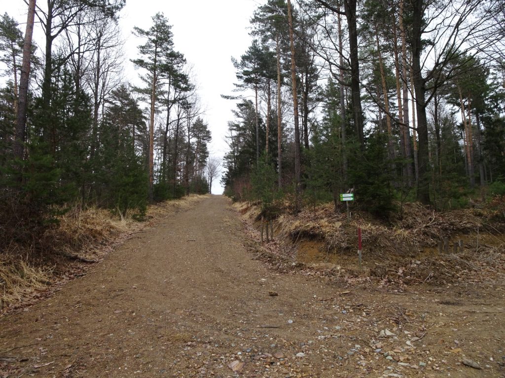 Keep straight (do not follow the mountain bike trail)