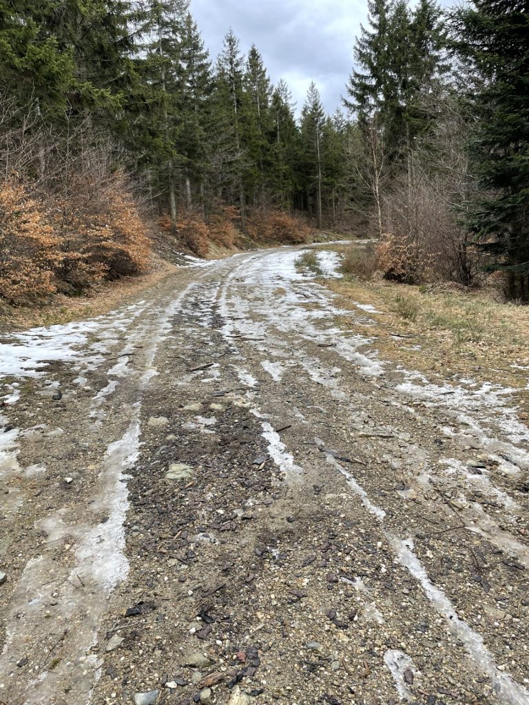 Still some ice and snow on the trail