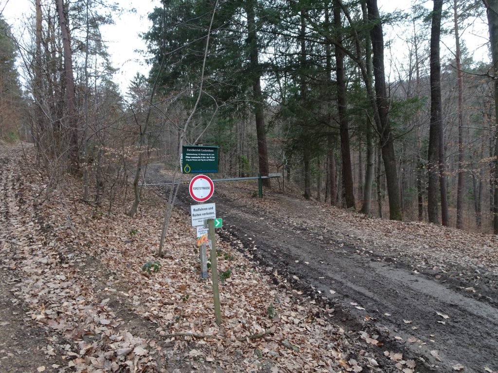 U-turn here and follow the trail towards castle <i>Lockenhaus</i>