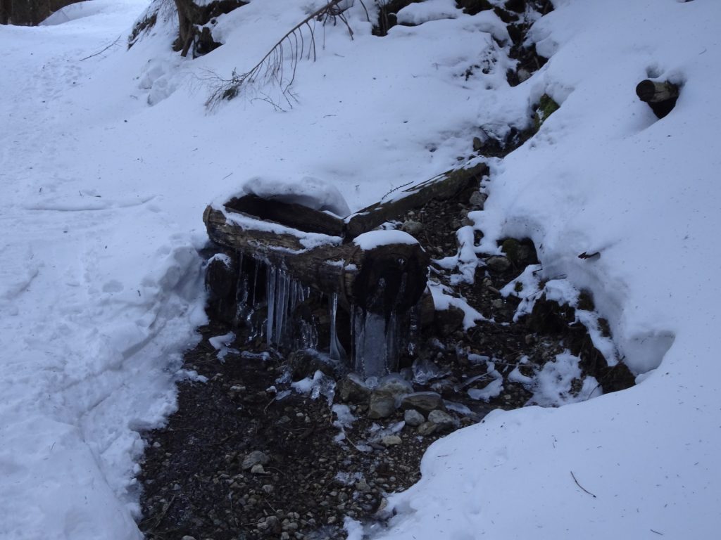 Frozen water source
