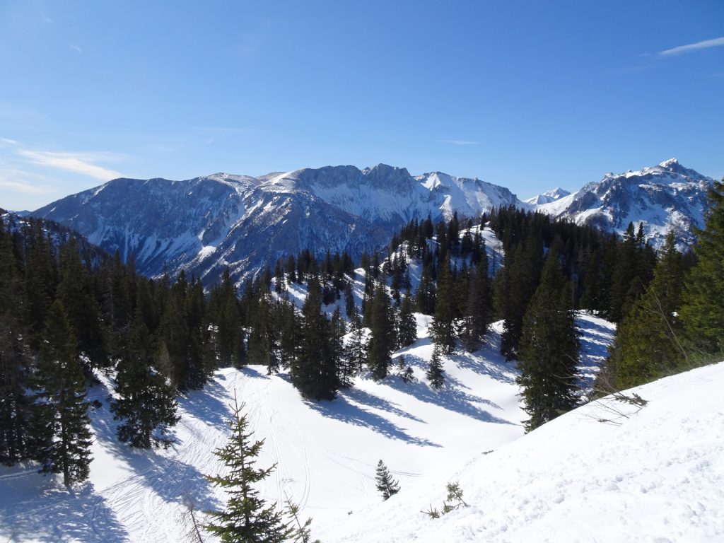 View back from the track towards <i>Sonnschienalm</i>