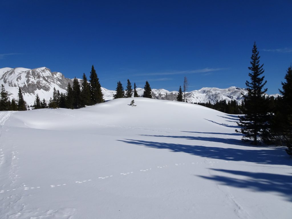 Towards <i>Sonnschienalm</i>