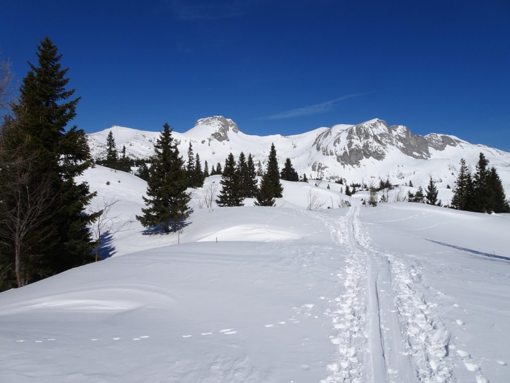 On the track towards <i>Sonnschienalm</i>