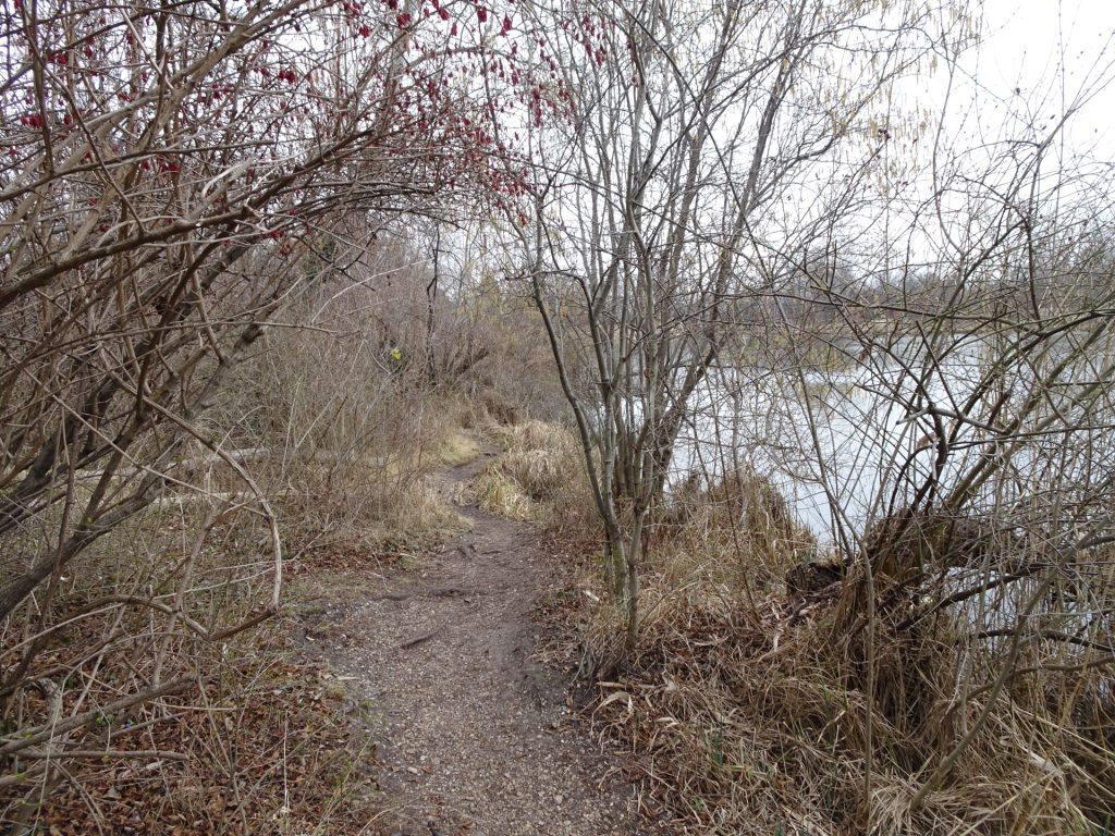 Hiking trail along the <i>Mühlwasser</i>