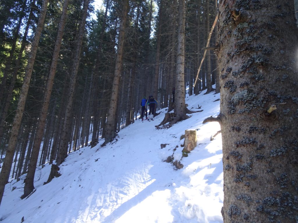 Steep ascent towards <i>Karl Lechner Haus</i> (crux of the tour)