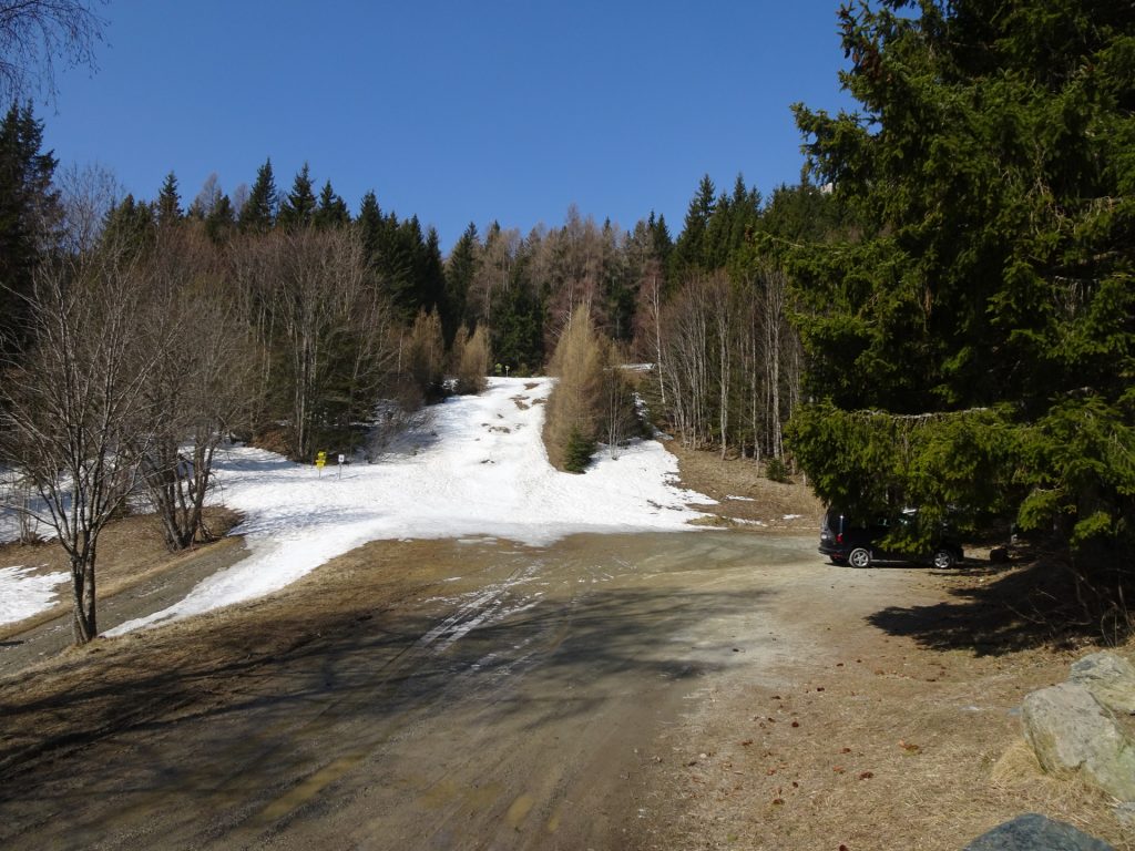 Follow the ski slope upwards at <i>Preiner Gscheid</i>