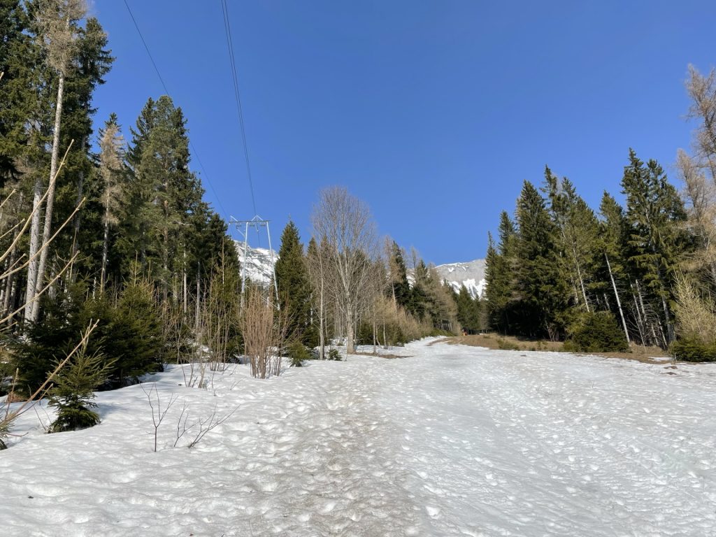 Follow the ski slope upwards towards <i>Siebenbrunnerwiese</i>