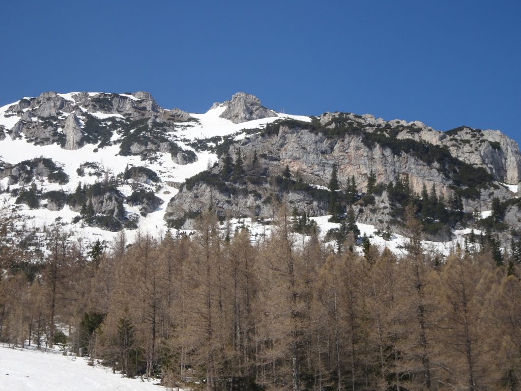 View up towards <i>Karl-Ludwig Haus</i>