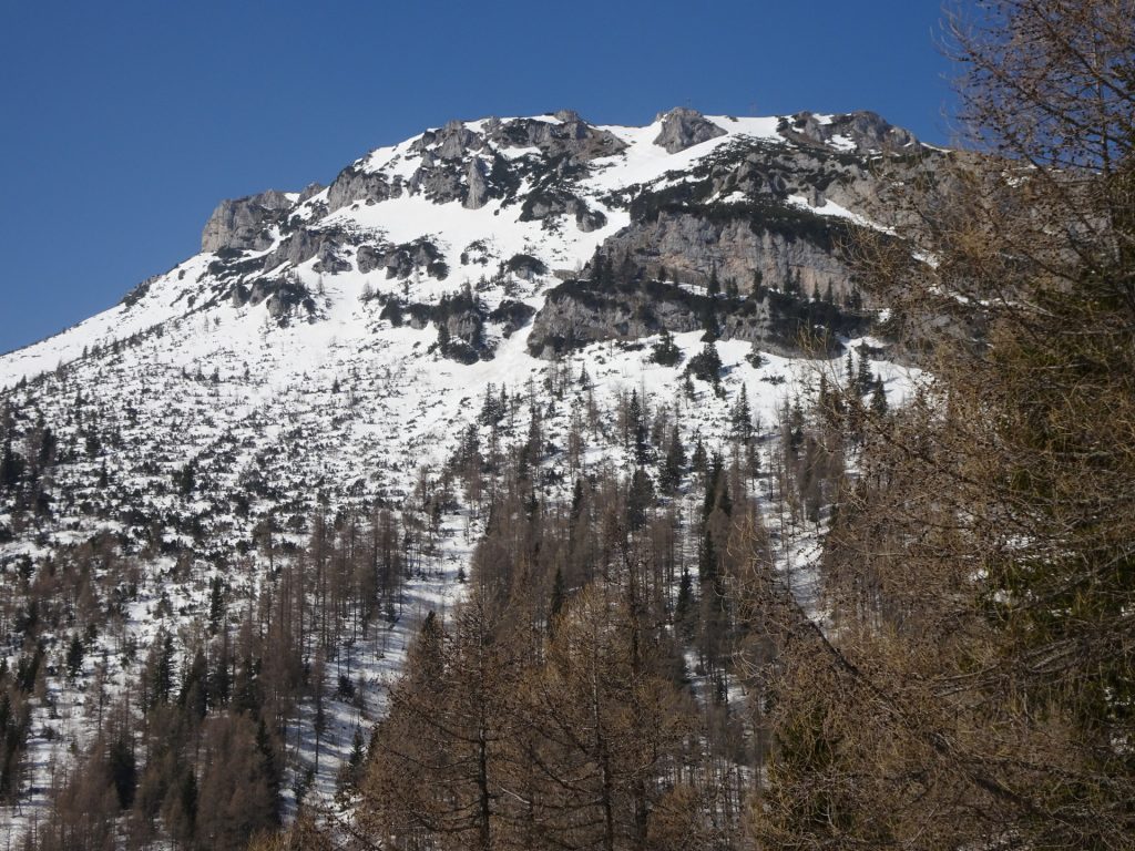 View from <i>Siebenbrunnerwiese</i>