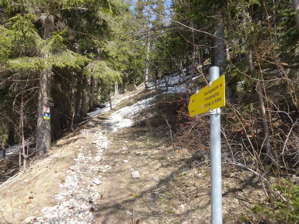 Follow the trail up to <i>Waxriegelkamm</i>