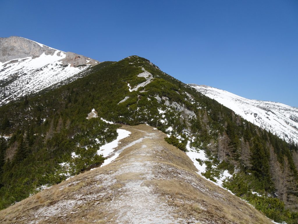 View from the <i>Waxriegelsteig</i>