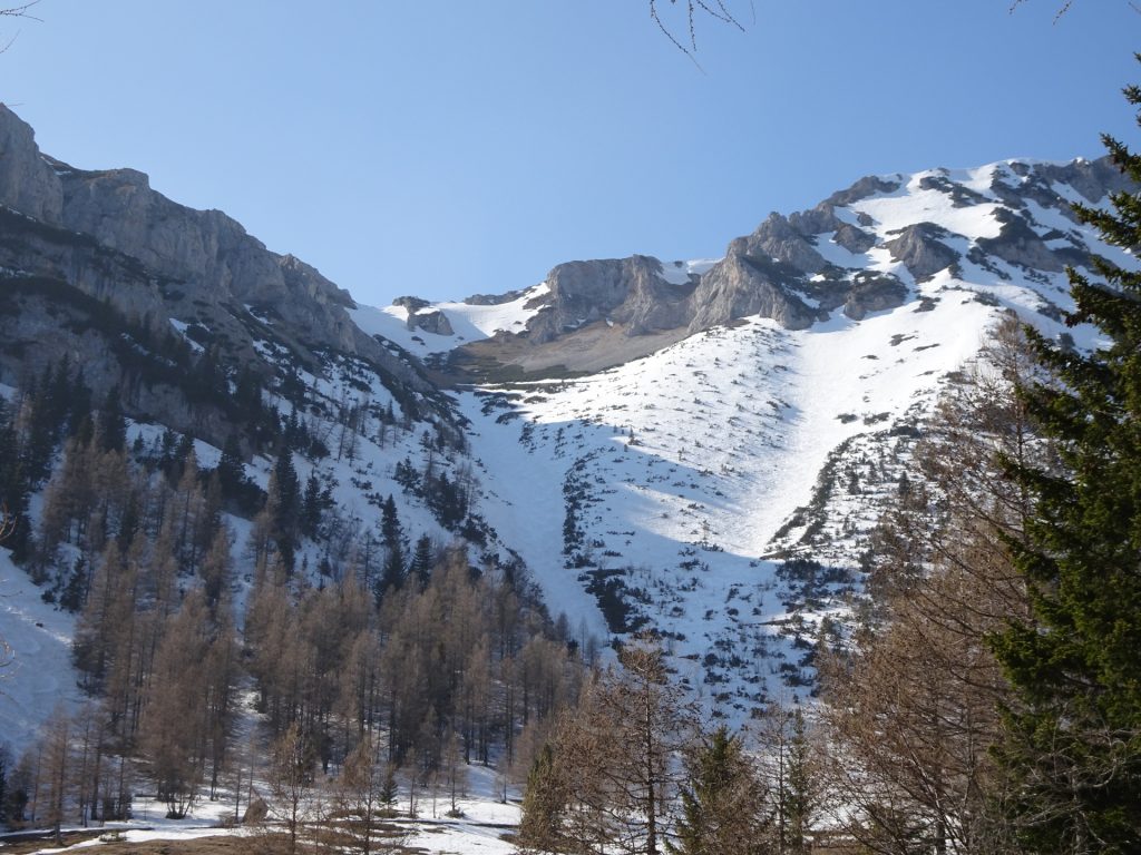 View back from <i>Siebenbrunnerwiese</i> (and the <i>Karlgraben</i> in the middle)