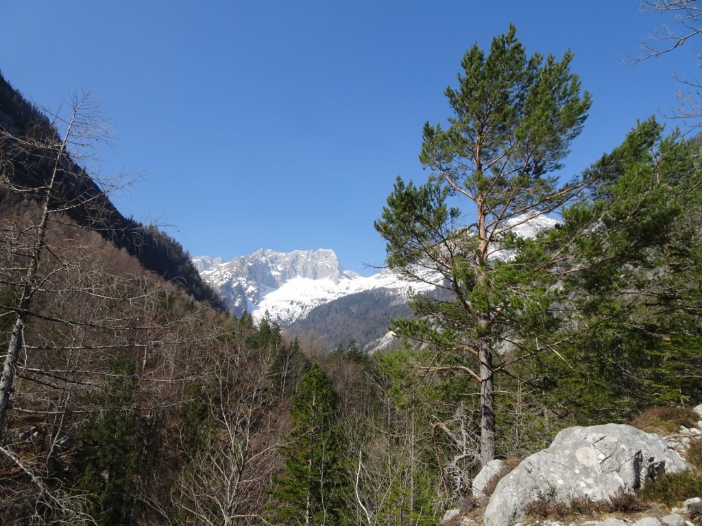 View from the Soča trail