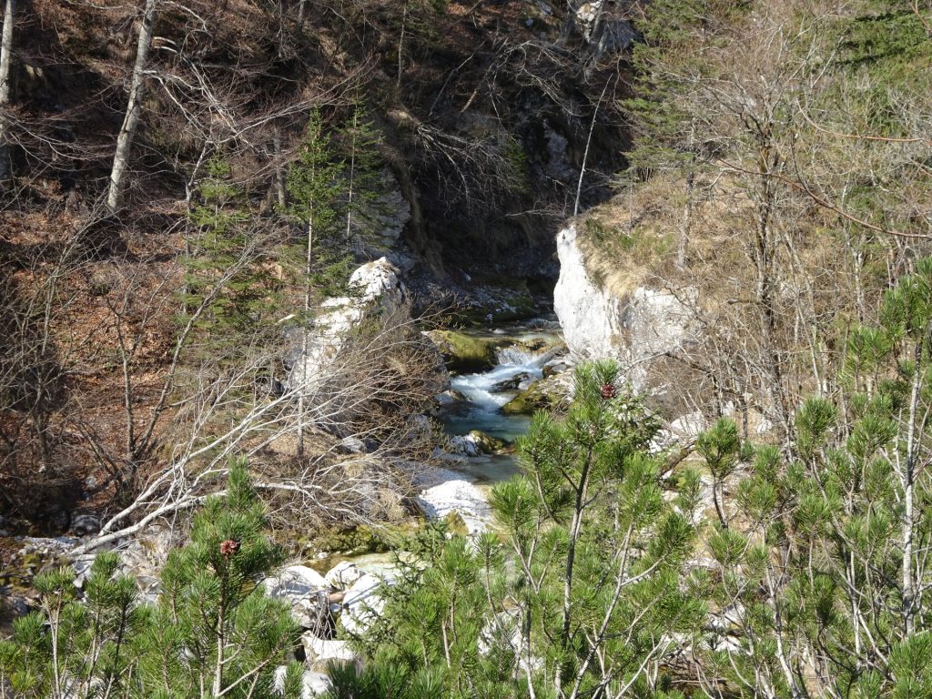 The Soča river
