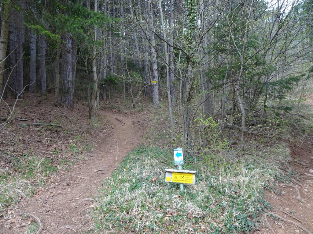 Turn left into the <i>Eselsteig</i> (or take the right trail to shortcut)