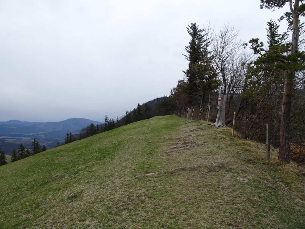Following the hiking trail from <i>Gelände</i> towards <i>Rastkreuz</i>