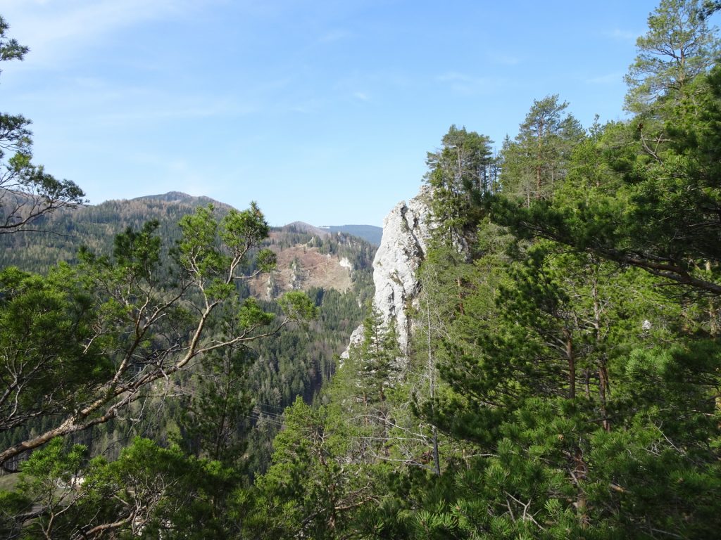 View from one of the rocks