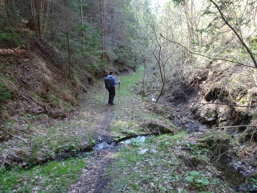 Hiking down the <i>Pfeffer-Steig</i>