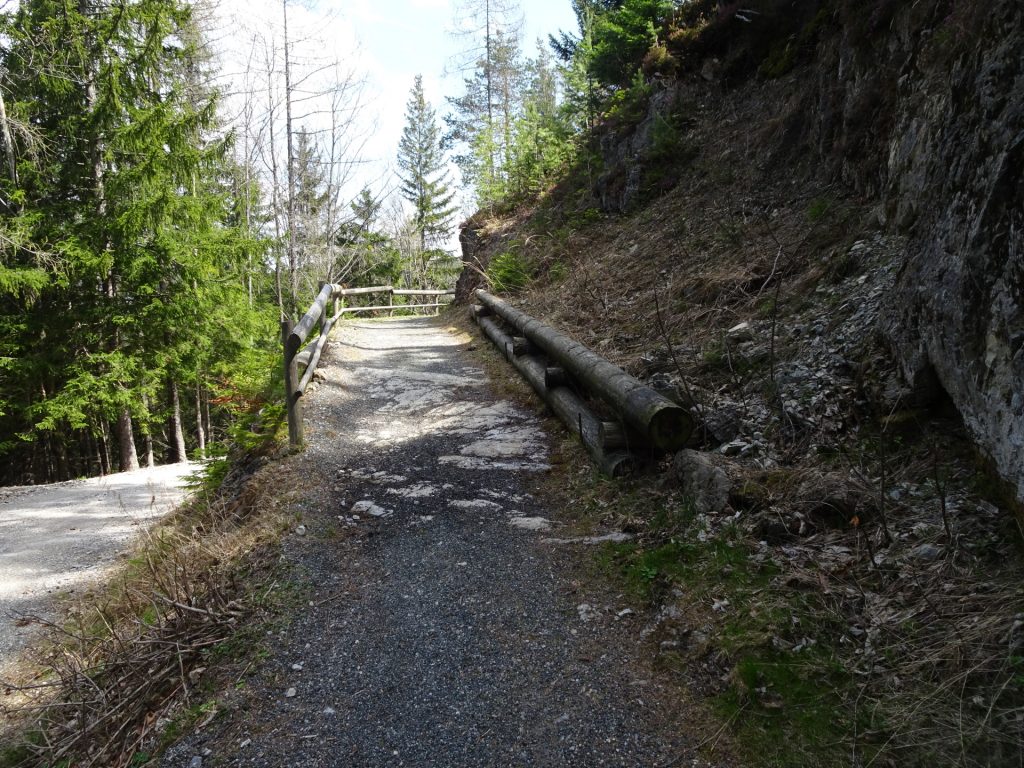 On the <i>Maiereiweg</i> towards <i>Semmering</i>