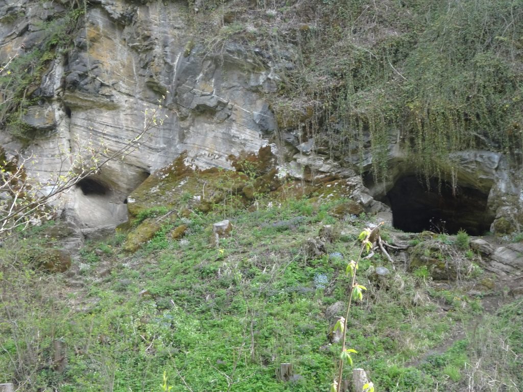 View back towards <i>Gudenushöhle</i>