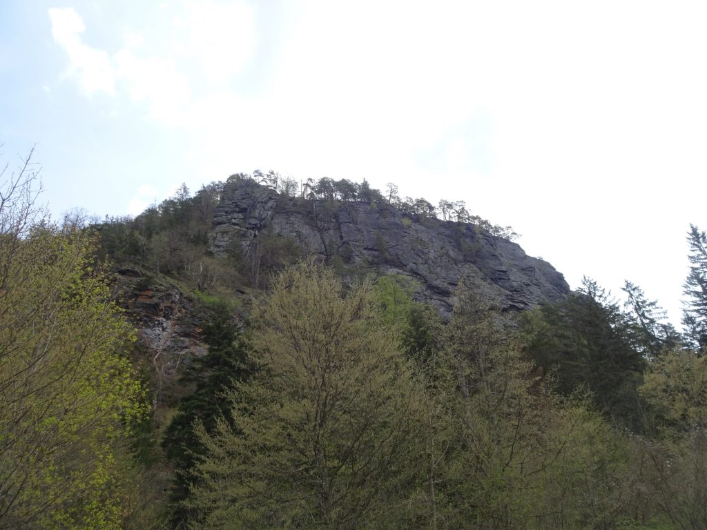 View up towards <i>Wotansstein</i>