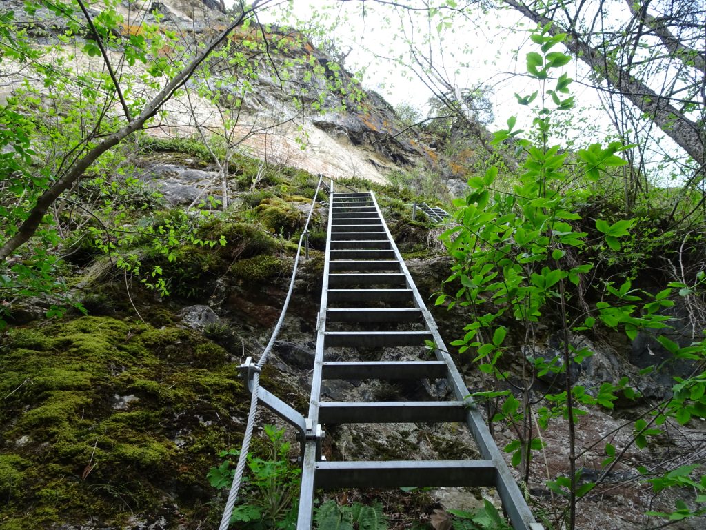 The ladder towards <i>Teufelskirche</i>