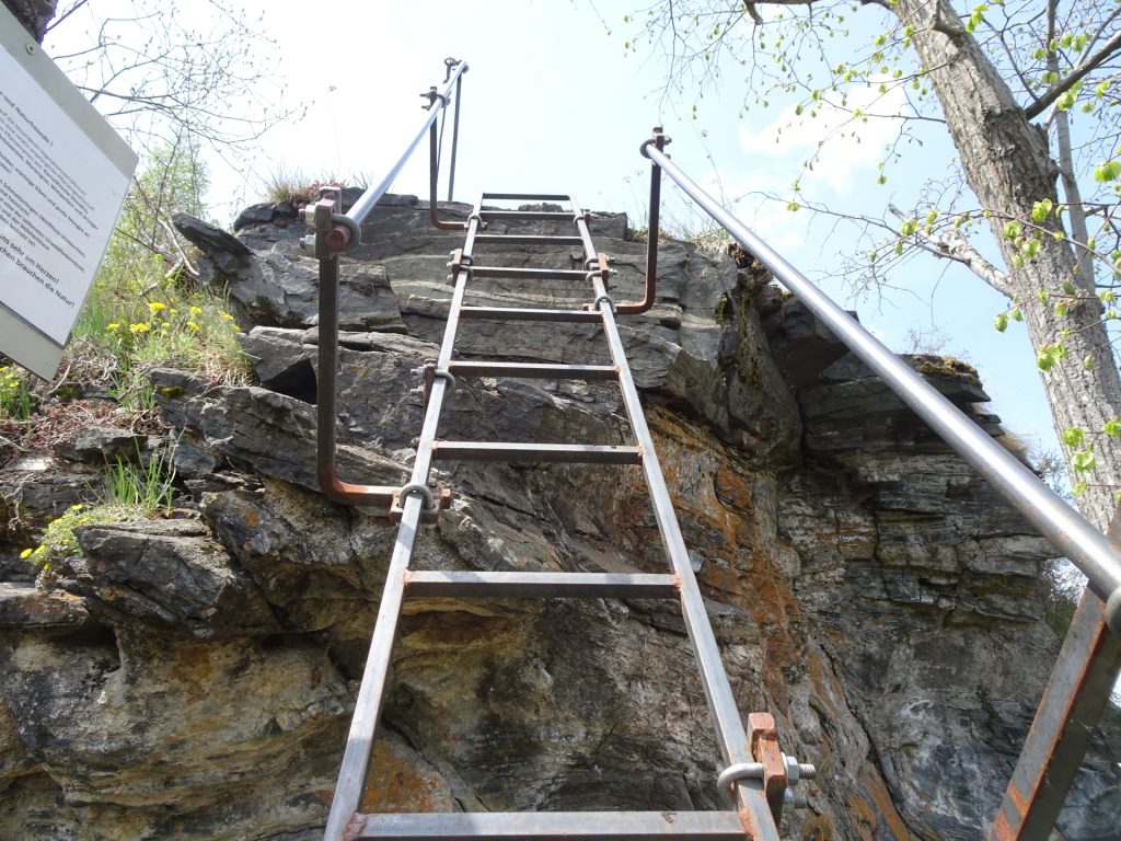 The ladder towards <i>Teufelsrast</i>
