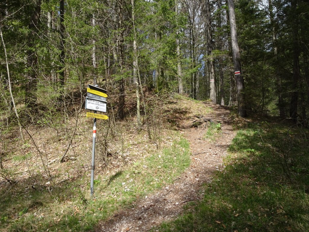 Follow the white-red-white marked trail towards <i>Kieneck</i> (now it becomes steep!)