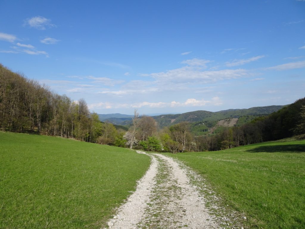 Gravel road back to <i>Furth an der Triesting</i>