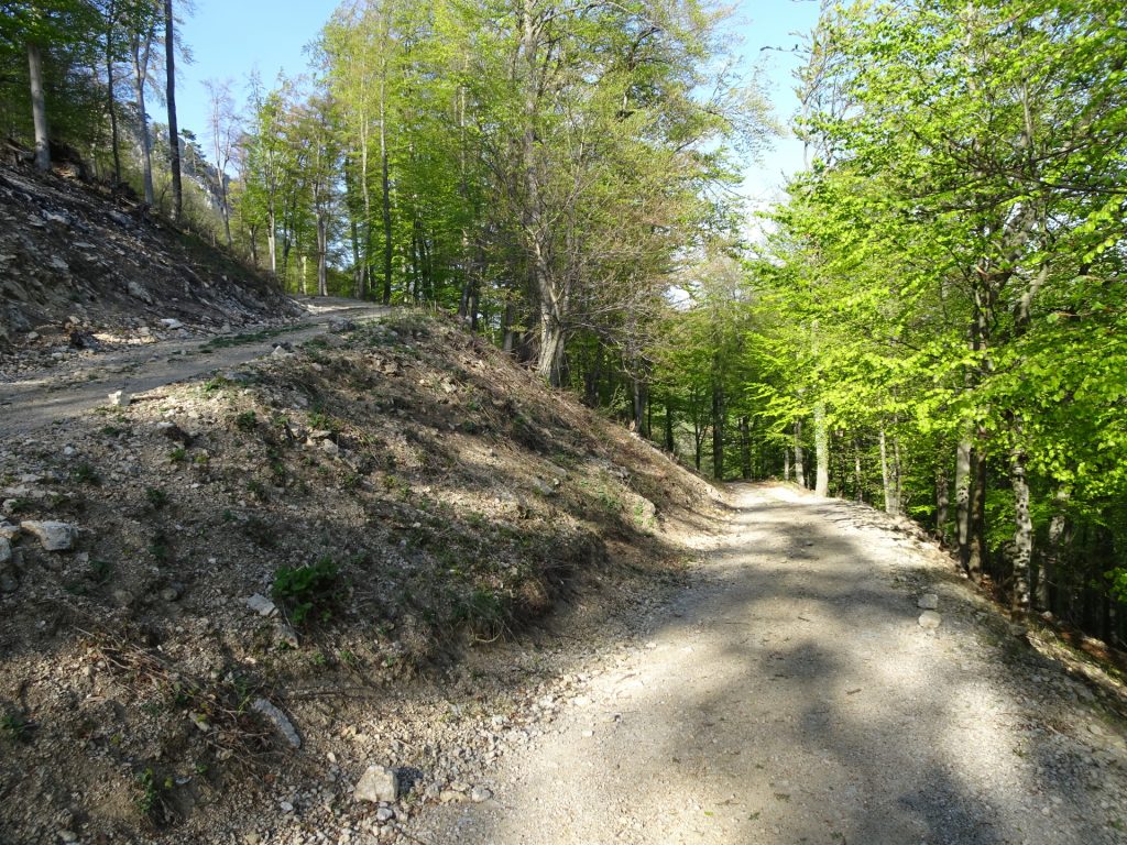 Follow the lower road back to <i>Furth an der Triesting</i>