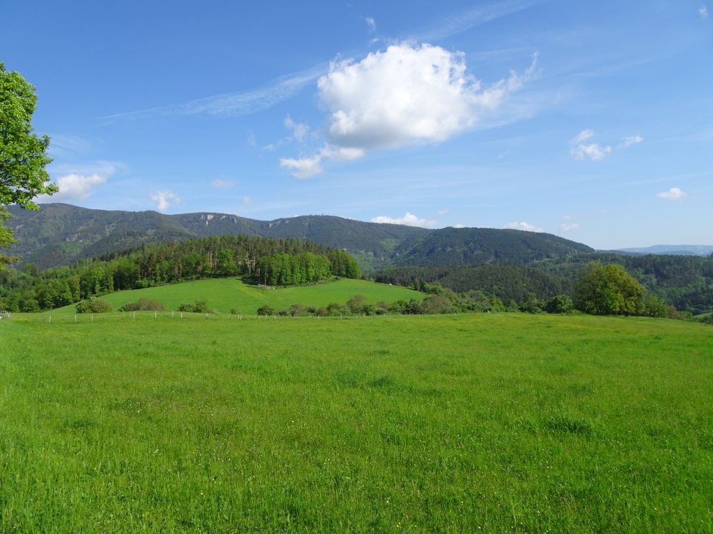 View from the trail towards <i>Prigglitz</i>