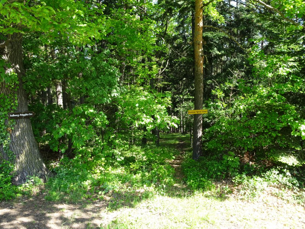Follow this forest trail to <i>Prigglitz</i>