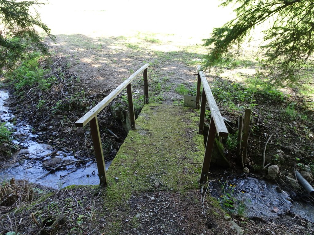 The bridge after the forest trail