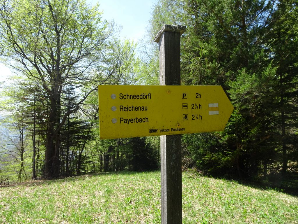 Follow the yellow marked route towards <i>Schneedörfl</i>