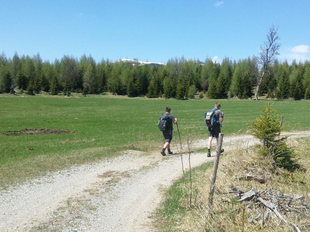 Robert and Stefan on the forest road towards <i>Lackerboden</i>