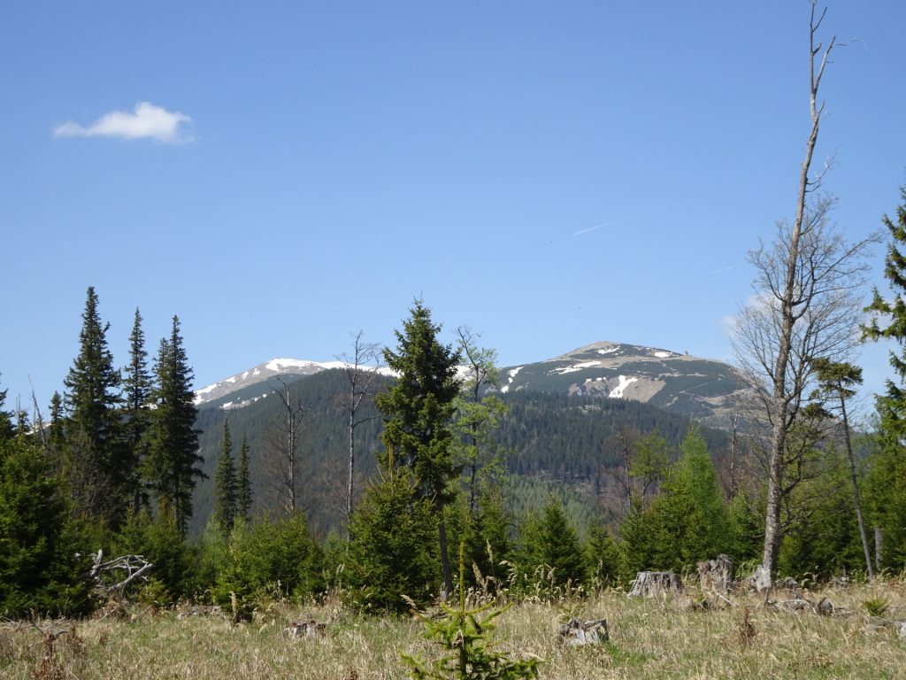 The <i>Schneeberg</i> seen from the trail