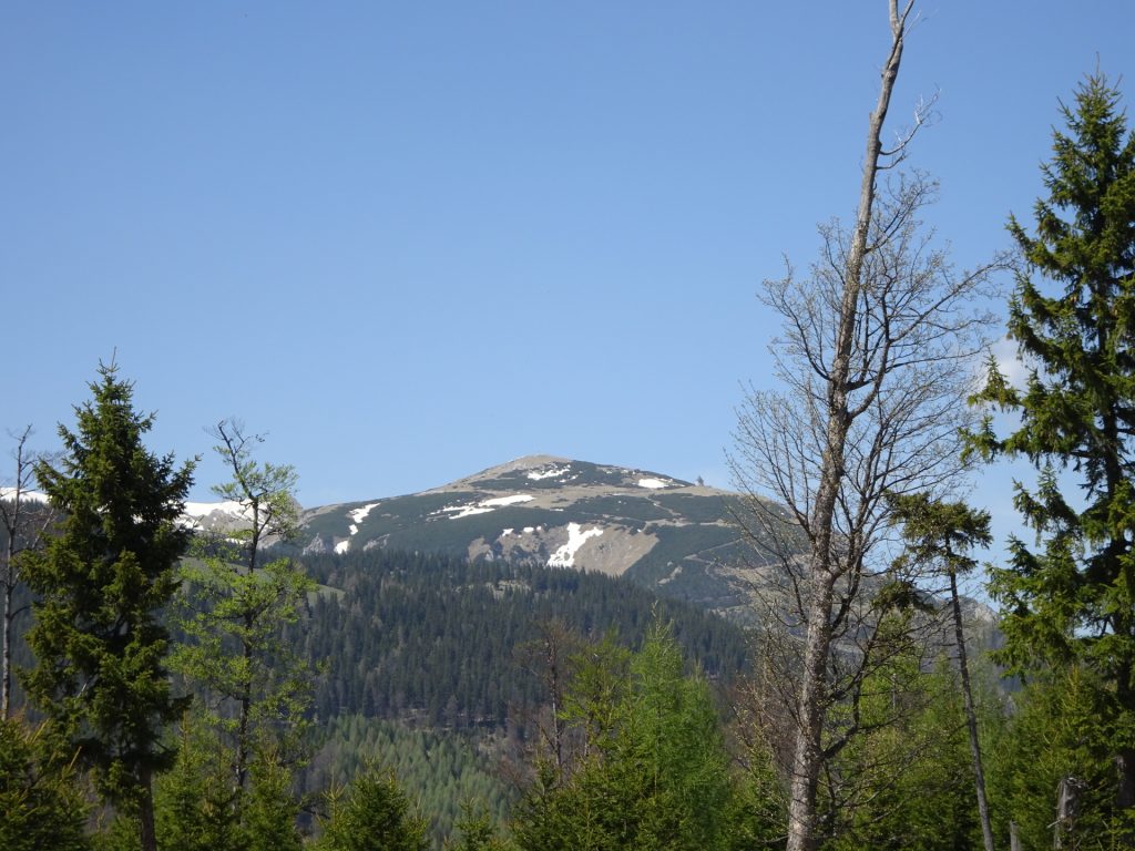 The <i>Schneeberg</i> seen from the trail