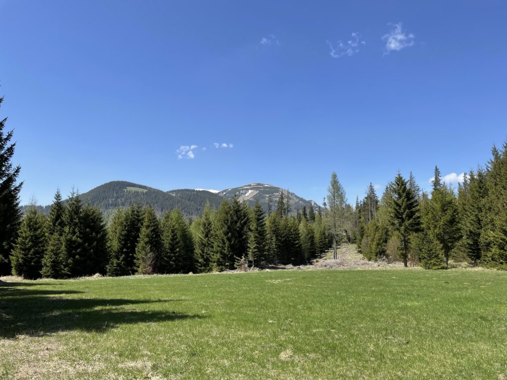 View towards <i>Schneeberg</i>