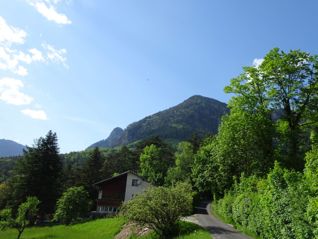 View back from <i>Payerbach</i>