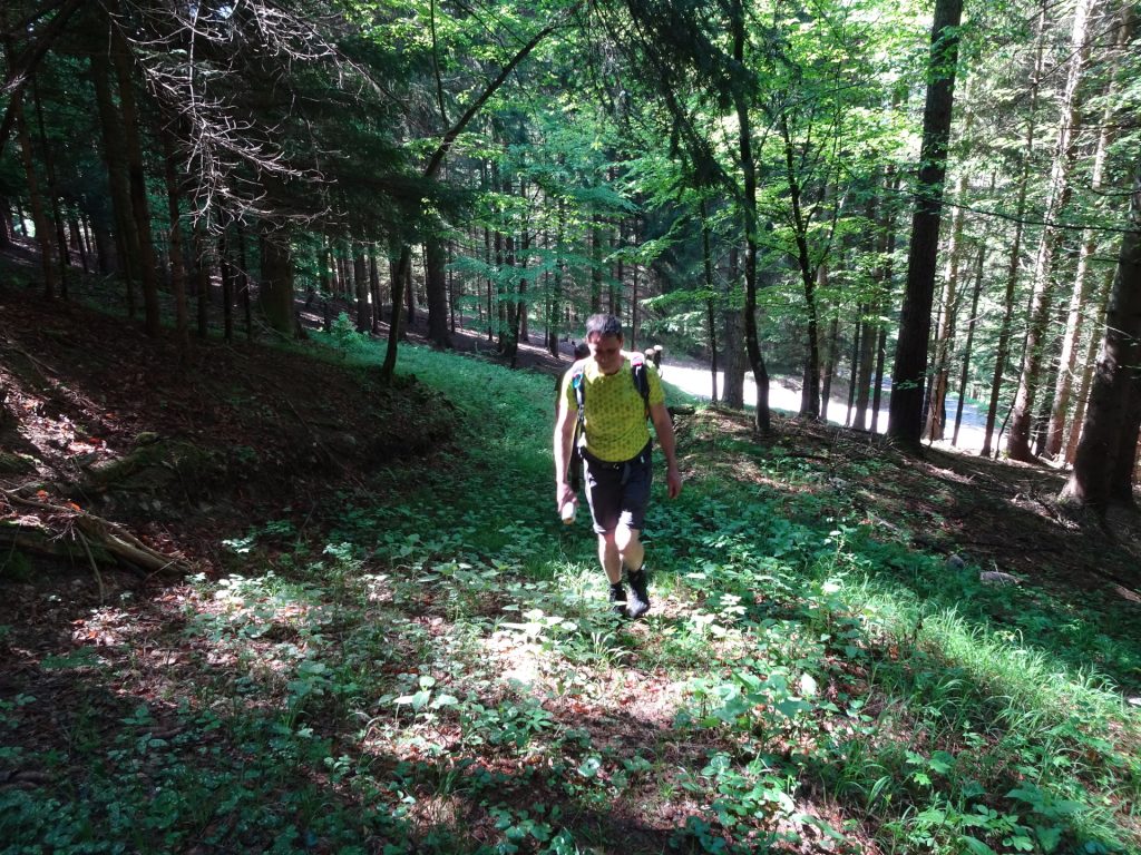 Hans on the trail towards <i>Zeissalm</i> (using the shortcut through the wood)