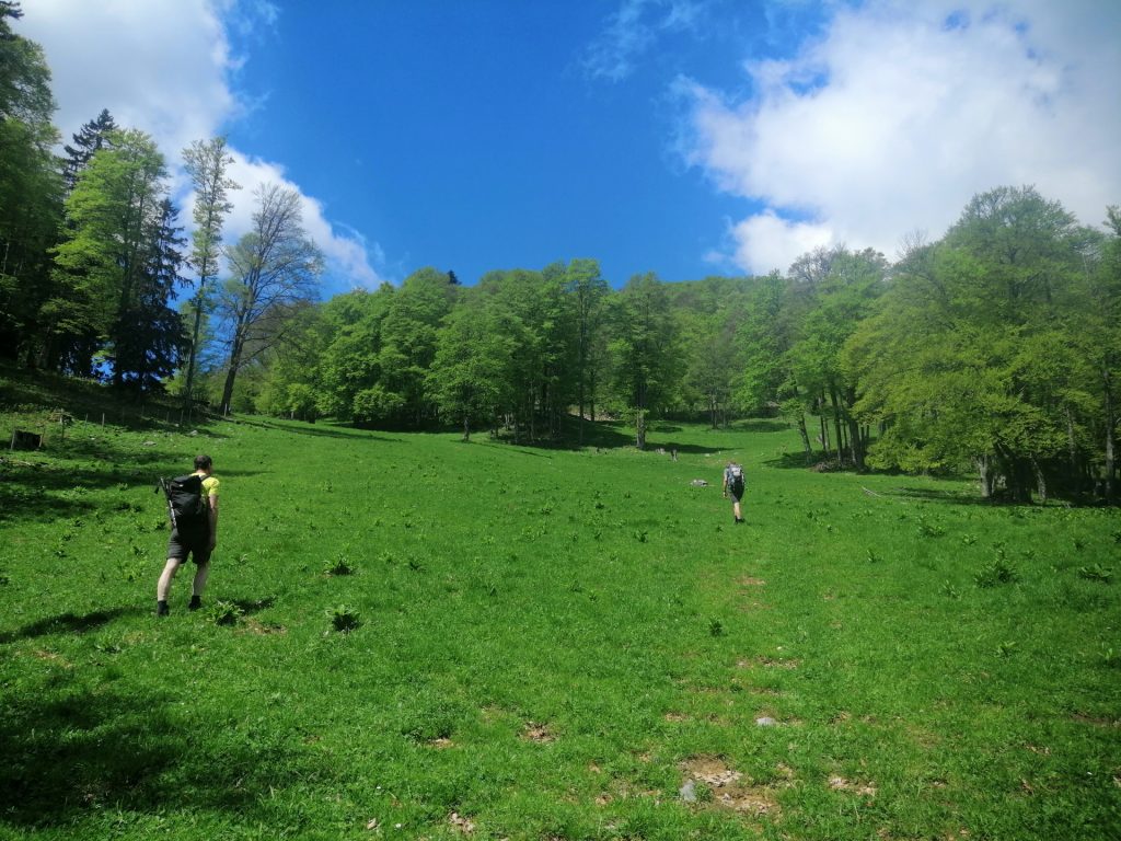 Hiking through the mountain pasture towards <i>Hochstaff</i>