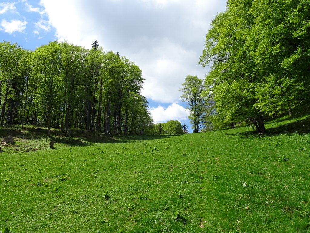 Follow the mountain pasture towards <i>Hochstaff</i>